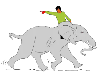 No matter what the rider wants, the elephant gets his way.