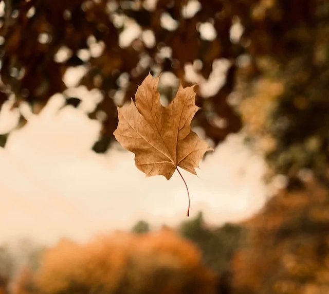 Gewinnen ist kein Ziel